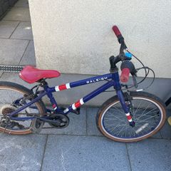 20" Raleigh bike