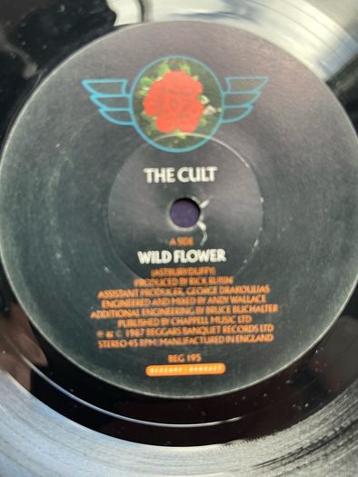 The Cult. Wild flower picture sleeve single in nm condition vinyl