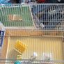 bird cage Image 2