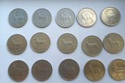 Pound coins