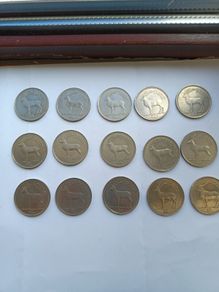 Pound coins