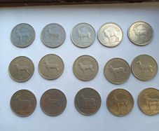 Pound coins