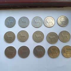 Pound coins