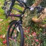 Ladies 26" Bicycle Image 7