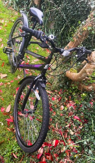 Ladies 26" Bicycle