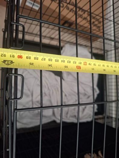 dog cage