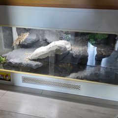 reptile tank