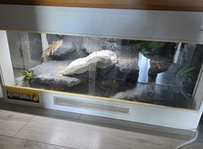 reptile tank