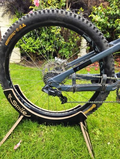 Downhill mountain bike Cube two 15 pro 2022