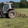 Hay Bob Image 8