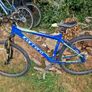 Adolescent/young teens bikes x4 Image 2
