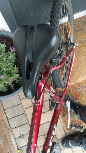 Trek with rock shocks
