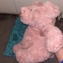 Jellycat Image 4