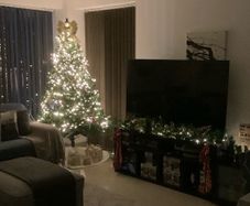 Christmas Tree and Decorations Bundle