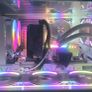 Professional gaming custom PC RYZEN 7 9800x3d 64 rx9070xt 16gb Image 4