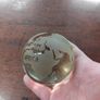 Glass Globe Image 4