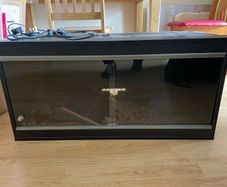 VivExotic wooden vivarium