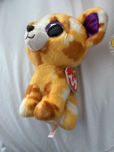 beanie boo with tags