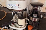 Sage Bambino Plus Espresso Machine and Coffee Grinder Set