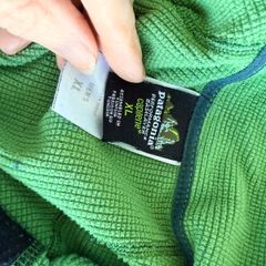 Patagonia mens Capilene top