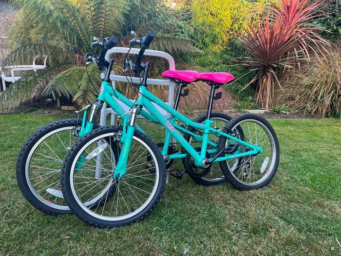 2 kids bikes