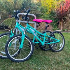 2 kids bikes