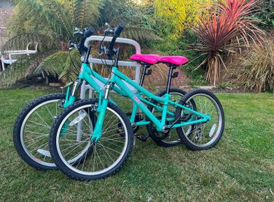2 kids bikes
