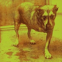 Alice In Chains  -  Alice In Chains