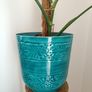 Monstera Plant + Pot Image 4
