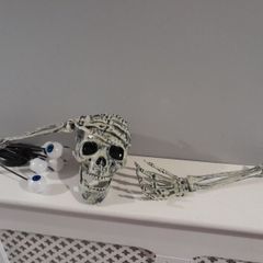 Halloween decorations skull, spiders, eyes that glow