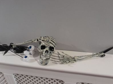 Halloween decorations skull, spiders, eyes that glow