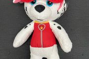 Paw Patrol Soft Toy / Teddy