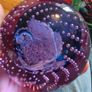 Caithness Vintage Glass Paperweights Image 6