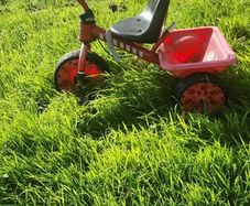 Childs trike