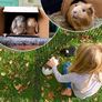 8 Panel Playpen Suitable for Dogs/Puppies/Cats Image 6