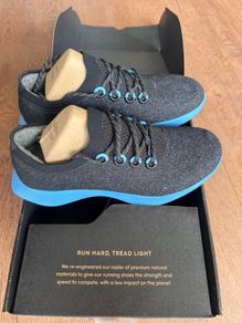 allbirds Wool Dasher Mizzle