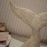 Whale tail Image 6