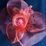 Fascinator Image 2