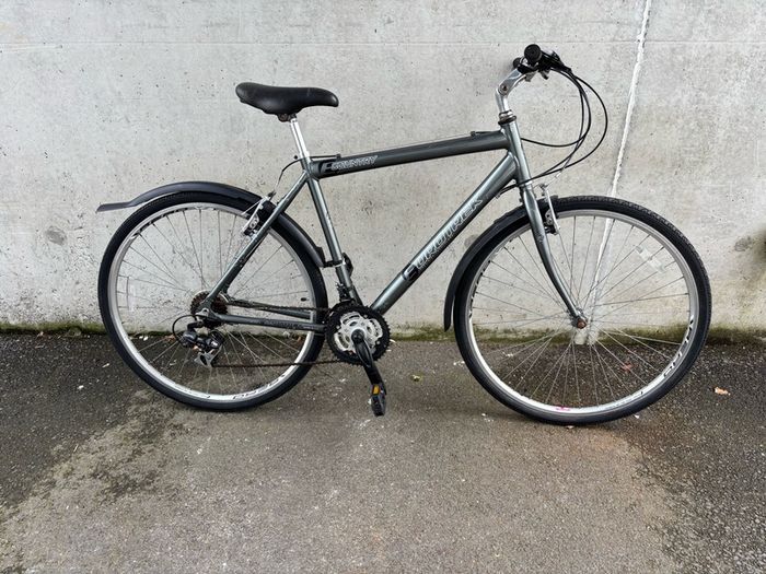 Euro trek men's hybrid bike