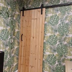barn door with rail