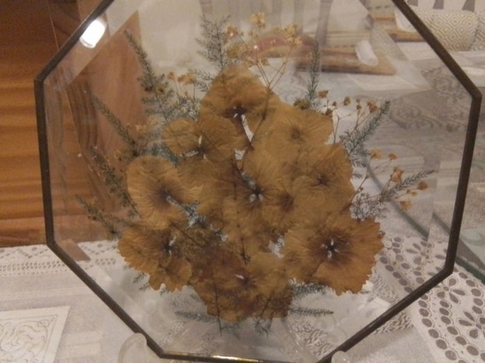 Glass Pressed Flower Hexagonal Wall Decor