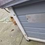 insulated dog kennel Image 4