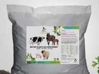 main image for ad Seaweed