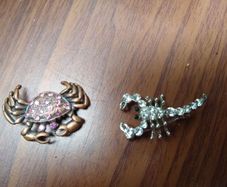 Brooches