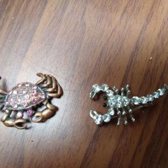 Brooches
