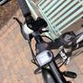 Bike Image 4