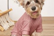 Brand new cute dog t-shirt