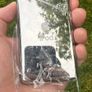 Custom iPod Classic 7th Gen Bluetooth UsbC Image 3