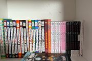 Isadora Moon, wimpy kid and dog man books