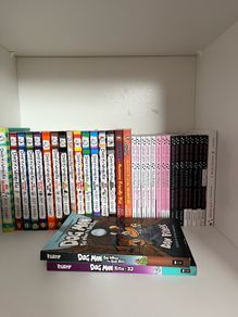 Isadora Moon, wimpy kid and dog man books